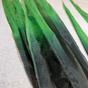 Plume Majestueuse de Samba verte