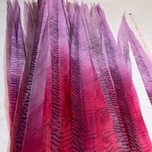 Plume Majestueuse de Samba rouge-violette