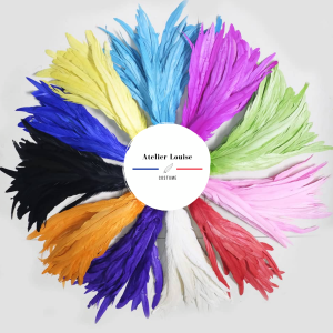 Plume de Coq Enchantée