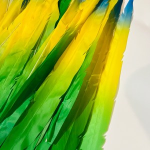 Plumes Festives du Carnaval