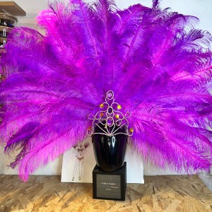 Coiffe Éclat Violette de la Nuit